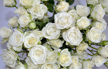 White Roses Bouquet. White Roses Background.