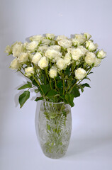 Bouquet of White Roses in a Vase on White Background