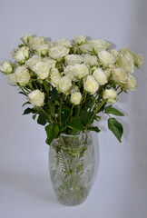 Bouquet of White Roses in a Vase on White Background