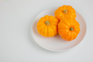 Beautiful little pumpkins. Autumn fall season concept. Minimal composition. Copy Space