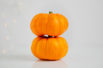 Beautiful little pumpkins. Autumn fall season concept. Minimal composition. Copy Space