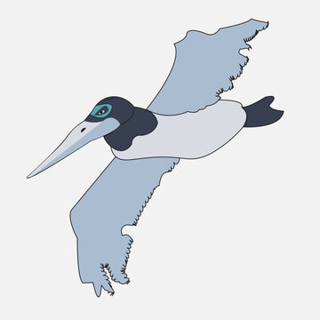 recommend clip art: vector cute albatross bird cartoon style