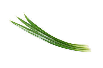 Pandan leaf on white
