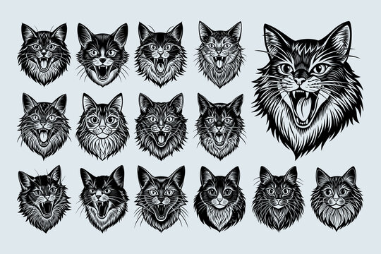 Cute funny meowing ragamuffin cat head illustration design set