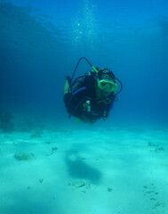 a woman diving in the crystal clear waters of the island of Curacao