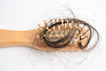 Hair loss fall with comb bush serious problem health, beauty and cosmetic concept.