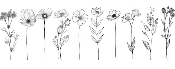 KS Floral branch and minimalist flowers for logo or tatto