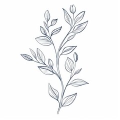 Fototapeta premium KS Floral branch and minimalist flowers for logo or tatto.