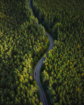 Aerial view of a beautiful forest mosaic in Larionovskoe, Karelia, Russia.