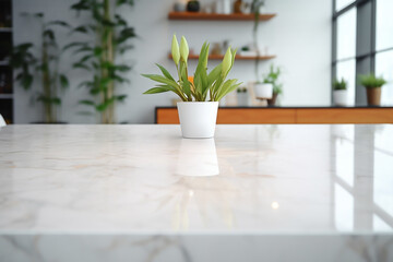 Green potted plant on clean white marble counter in kitchen interior mock-up