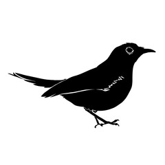 silhouette icon of a magpie bird without background