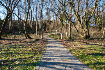 Stone path in the autumn forest.