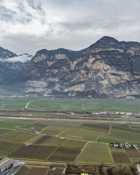Aerial view of vineyard in hilly terrain, Salorno, South Tyrol, Italy.