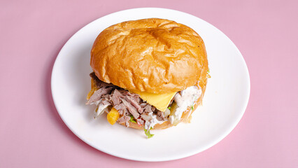 Delicious burger on plate
