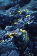 yellow lichen on stone