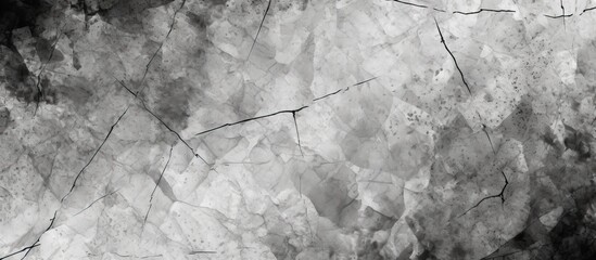 A monochrome photography of a marble texture resembling a natural landscape with freezing grass and...