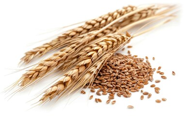 Portrait of wheat ears isolated on white background. Concept of food supply, carbs and nutrients. Generative AI
