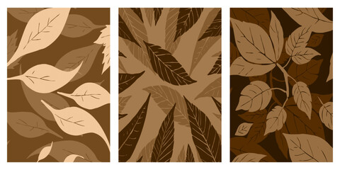 Set of 3 botanical illustrations. Minimalist pattern for printing on wall decorations, covers.