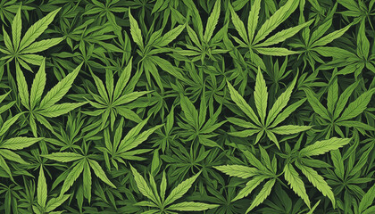 Background of marijuana leaves, cannabis benefits - obrazy, fototapety, plakaty