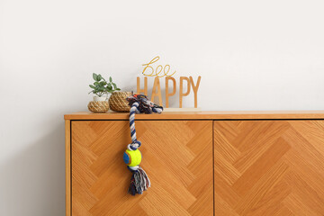 Pet toy with houseplants and home decor on commode at home
