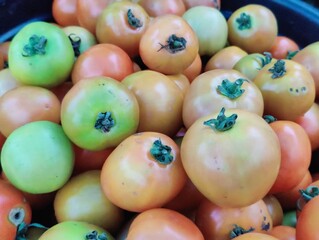 Yellow tomatoes in the market, closeup of photo. Vegetable background