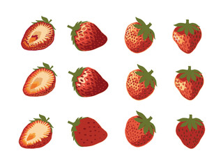 Strawberry fruit vector set