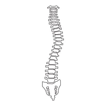 recommend clip art: Spine icon