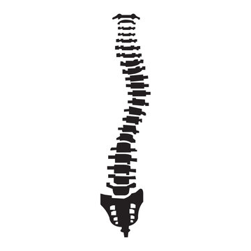 recommend clip art: Spine icon