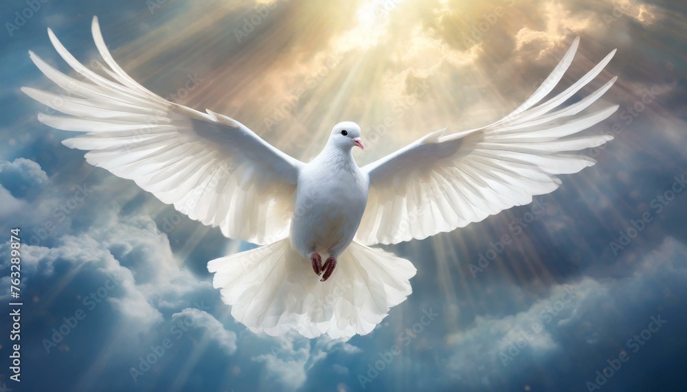 Wall mural holy spirit: white dove with open wings in the clouds