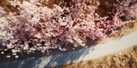 spring blossoms along the road view from above Generative AI
