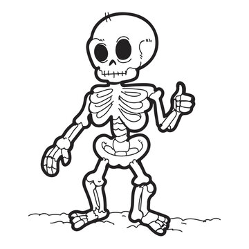 skeleton thumbs up vector illustrations. simple design outline style cartoon.