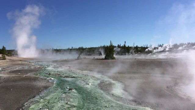 Norris Geyser Basin, Yellowstone National Park, Wyoming, USA