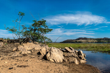 Rochas e vegetação a beira do Rio Grande em Minas Gerais