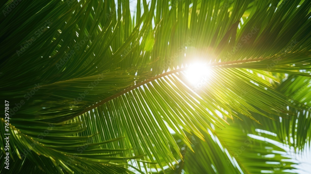 Sticker palm tree leaves