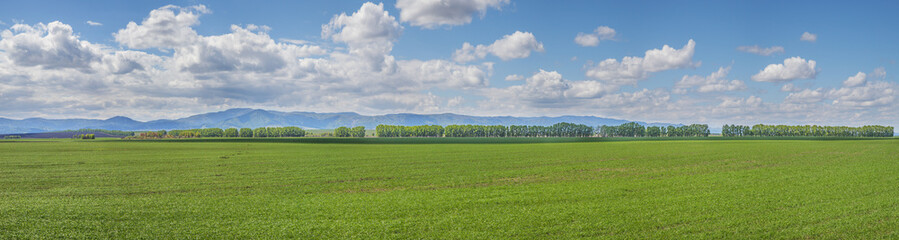 Countryside, arable land. Spring landscape, sunny day, panoramic view.	