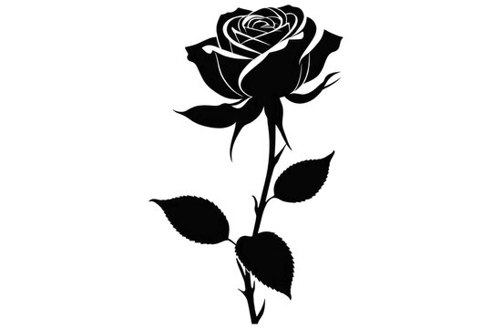Black silhouette of a rose, digital render, centered on a pristine white background, high contrast, minimalist, vector style, silhouette sharpness emphasized, suitable for elegant logo design