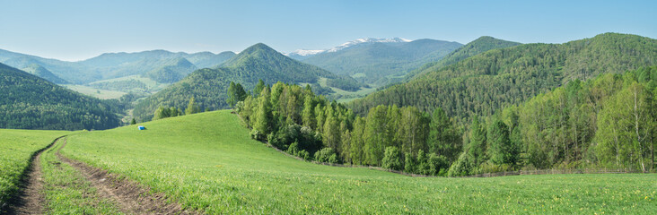 Spring green of forests and meadows, rural road, a sunny day