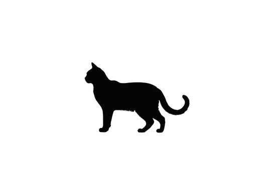 Silhouette of a cat head, high key photography, isolated against a stark white background, contrast-focused, shadow detailing, minimalistic, high-resolution stock photo, ultra clear