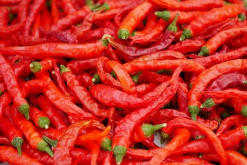 乾燥中の赤唐辛子20231102