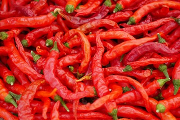 乾燥中の赤唐辛子20231101