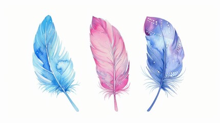 On a white background, three hand-drawn watercolor feathers with ornaments