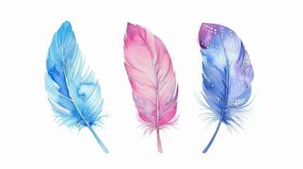 Fototapete Boho-Tiere On a white background, three hand-drawn watercolor feathers with ornaments