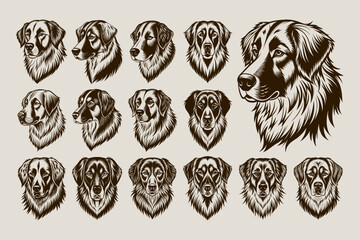 Collection of anatolian shepherd dog head tshirt design vector