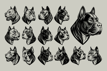 Side view of detailed american bully dog head tshirt design set