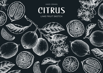 Lime fruit frame. Exotic plants design template. Citrus fruit sketches; Summer background. Hand-drawn vector illustration.  - 763308066