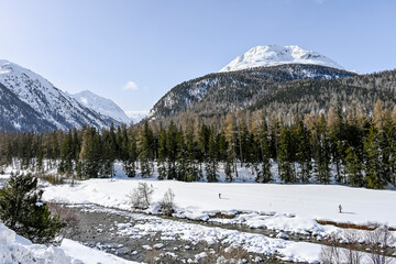 Pontresina, Berninabach, Berninapass, Val Bernina, Winter, Wintersport, Wanderweg, Langlauf,...