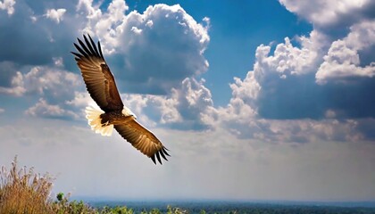 Isaiah 40:31: Rise on Wings like Eagle. High Flying Eagle with Wings Open. Bible Prophecy - obrazy, fototapety, plakaty