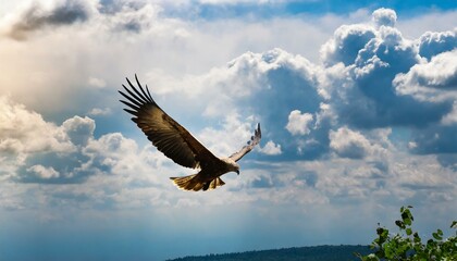 Fototapeta na wymiar Isaiah 40:31: Rise on Wings like Eagle. High Flying Eagle with Wings Open. Bible Prophecy