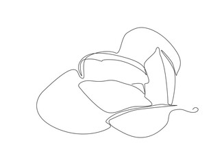 Continuous Line Magnolia Flower Vector Icon, Monoline Flowering Magnolia Stellata, One Line Star Magnolia Silhouette, Shapes Illustration