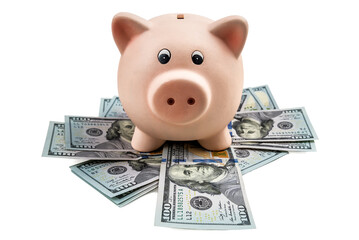 Pink piggy bank on the money dollars on white background